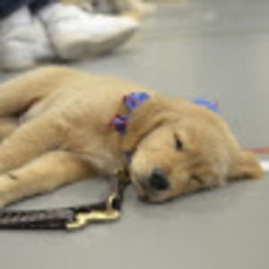 Meet your Posher, Neli